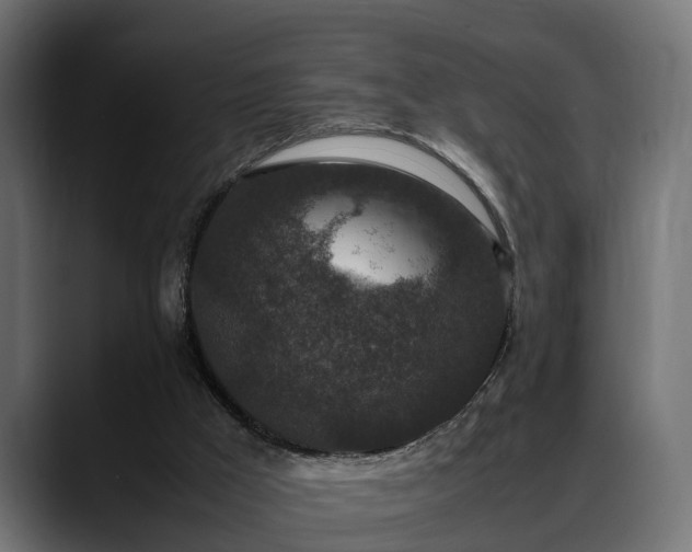 X0000088360009200705291316