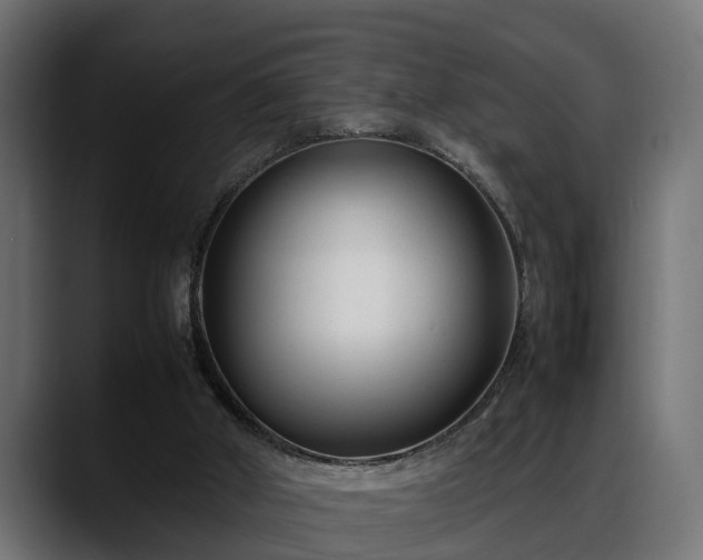 X0000088360010200705291316