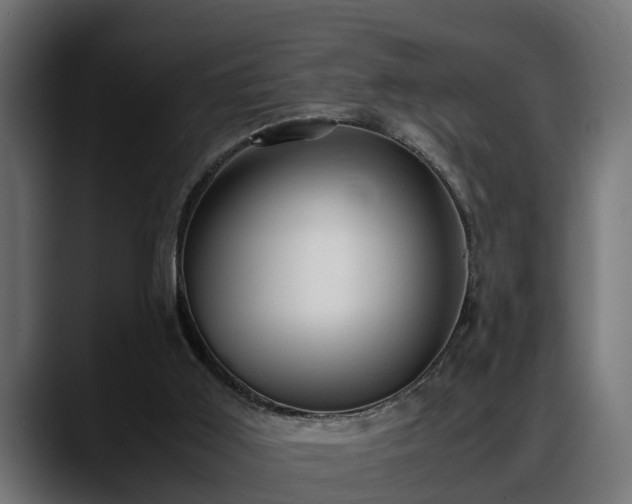 X0000088360011200705291316