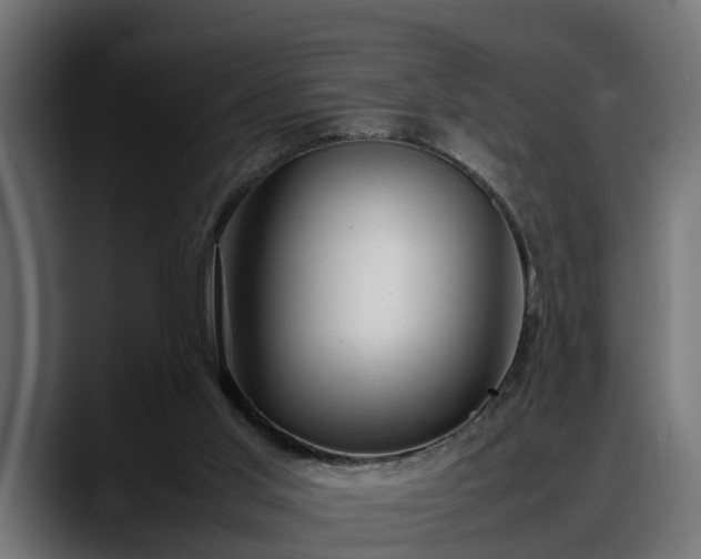 X0000088360013200705291316