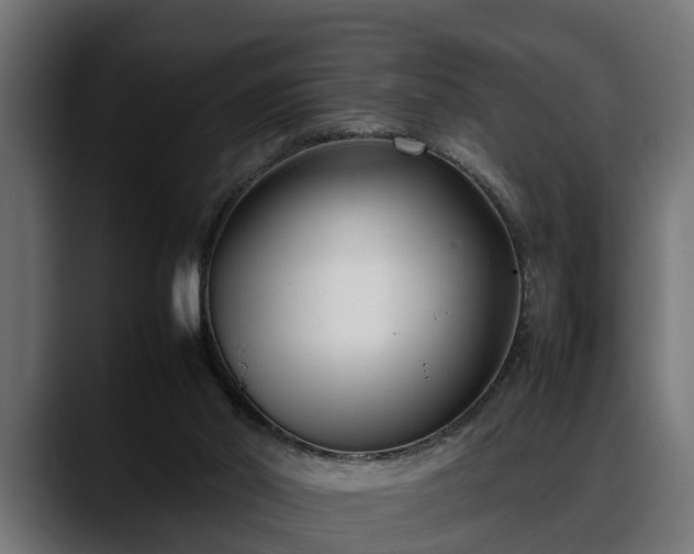 X0000088360014200705291316