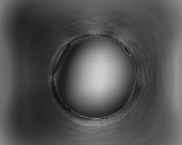 X0000088360015200705291316