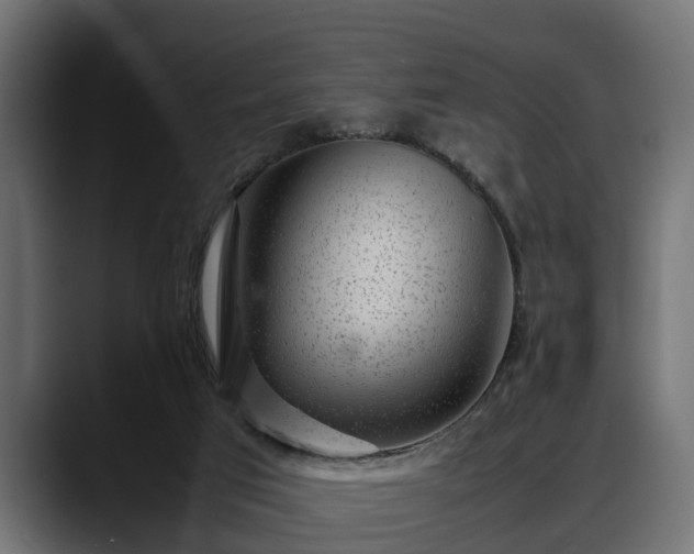 X0000088360017200705291316