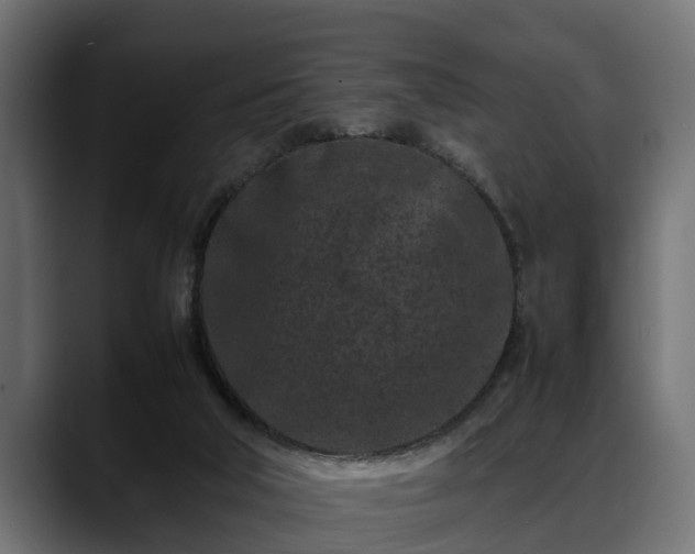 X0000088360018200705291316