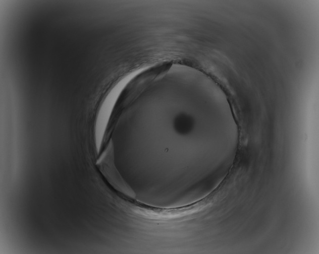 X0000088360019200705291316