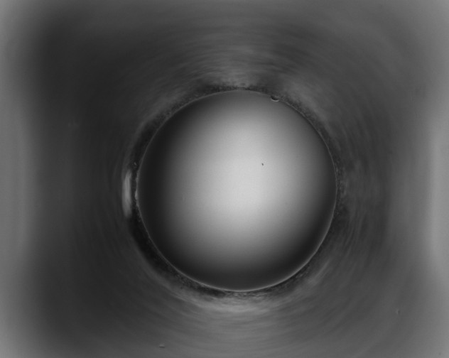 X0000088360020200705291316