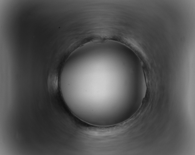 X0000088360021200705291316