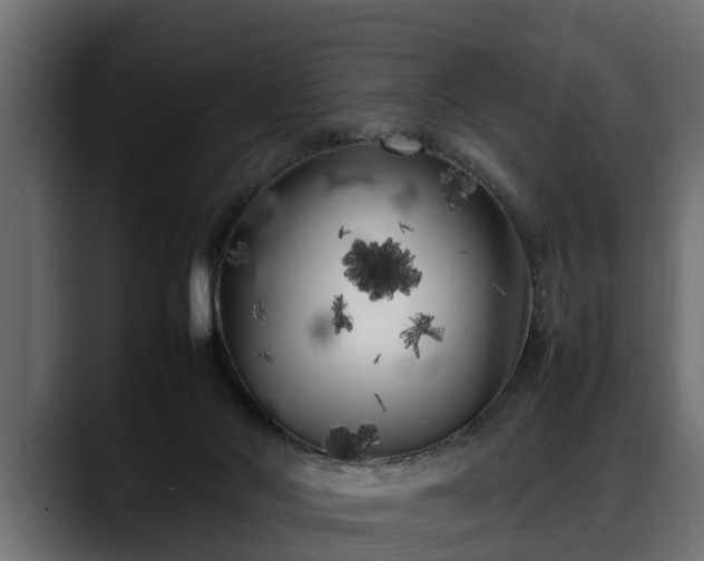 X0000088360022200705291316