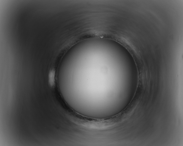 X0000088360024200705291316