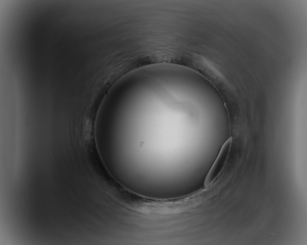 X0000088360025200705291316