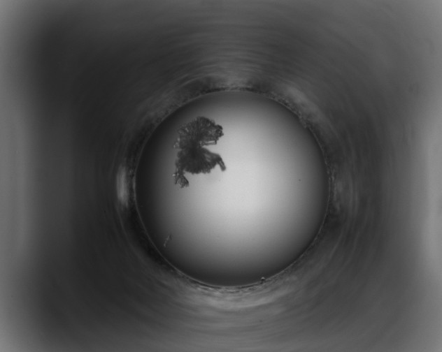 X0000088360026200705291316