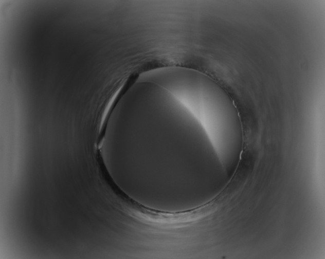 X0000088360027200705291316