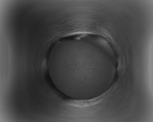 X0000088360029200705291316