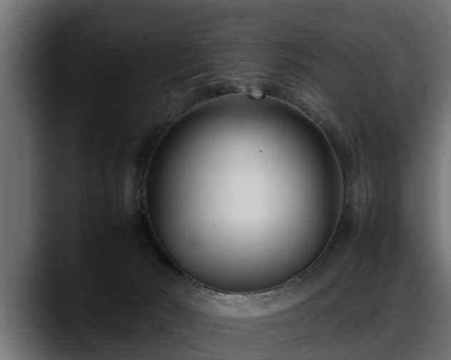 X0000088360030200705291316