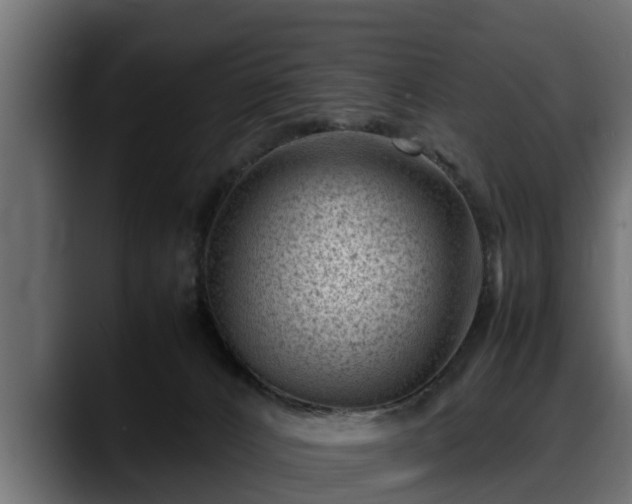 X0000088360032200705291316