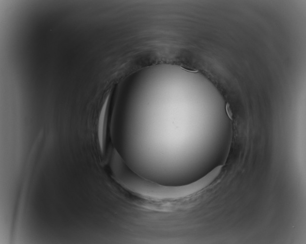 X0000088360033200705291316