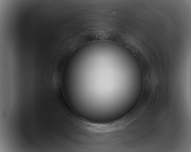 X0000088360034200705291316