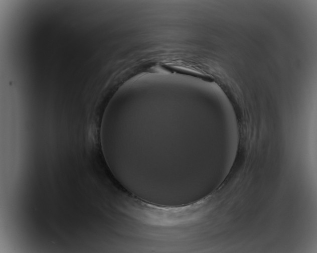 X0000088360035200705291316