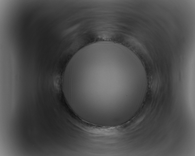 X0000088360036200705291316