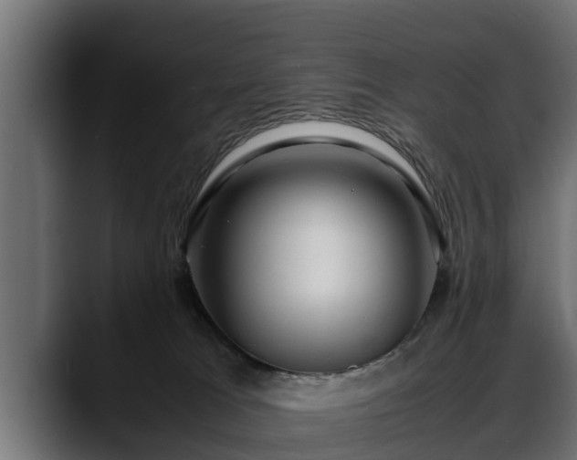 X0000088360037200705291316