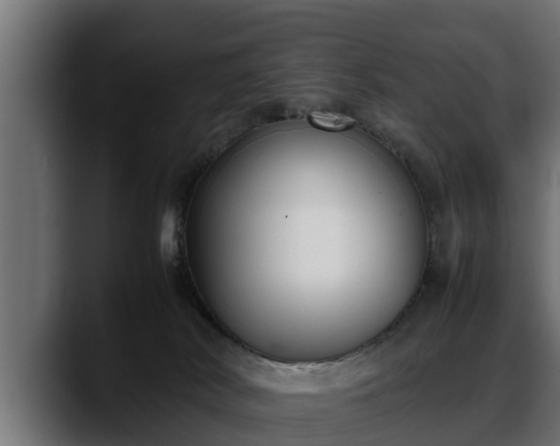 X0000088360038200705291316