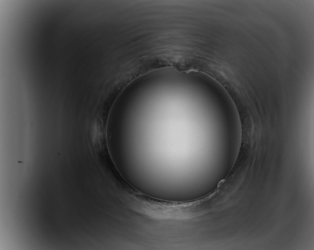 X0000088360040200705291316