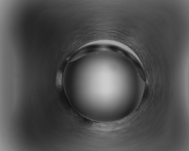 X0000088360041200705291316