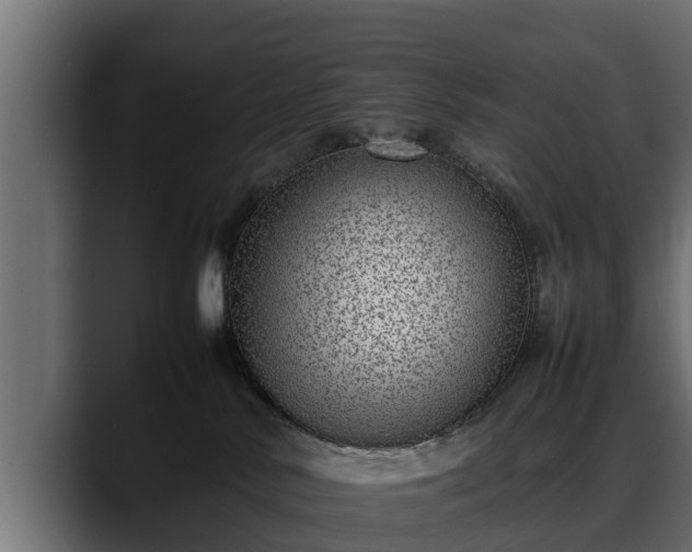 X0000088360042200705291316