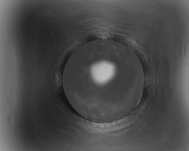 X0000088360043200705291316