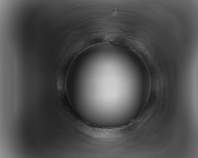 X0000088360044200705291316