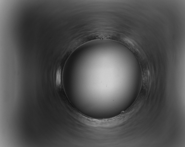 X0000088360046200705291316