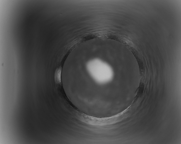 X0000088360047200705291316