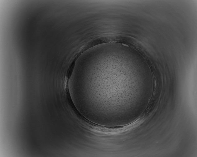 X0000088360048200705291316