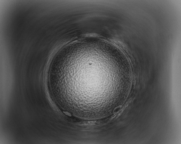 X0000088360049200705291315