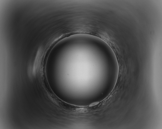 X0000088360050200705291315