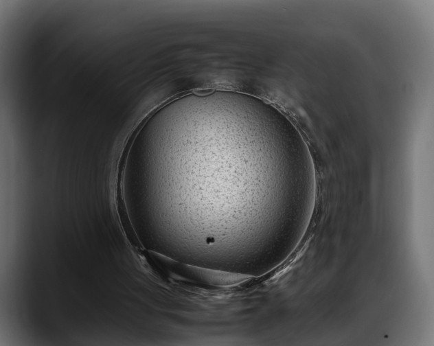 X0000088360051200705291315