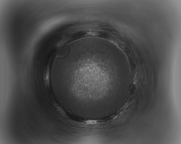 X0000088360052200705291315