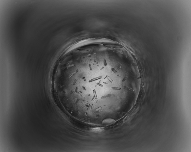 X0000088360053200705291315