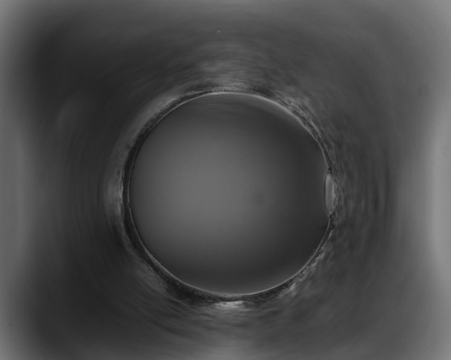 X0000088360054200705291315