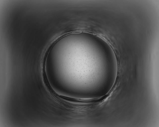 X0000088360055200705291315