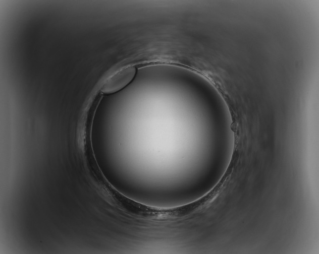 X0000088360056200705291315