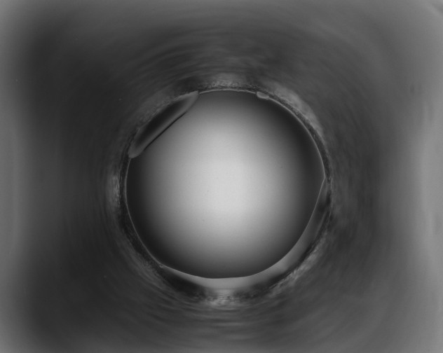 X0000088360057200705291315