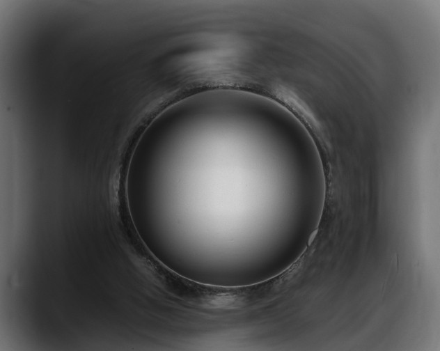 X0000088360058200705291315