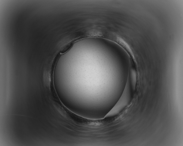 X0000088360059200705291315