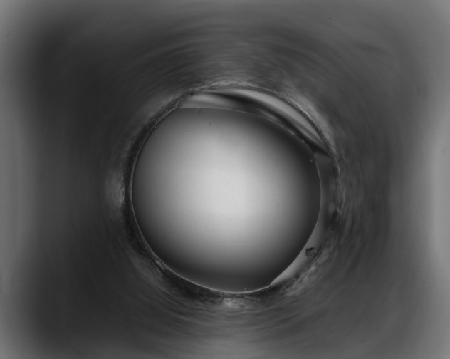 X0000088360060200705291315