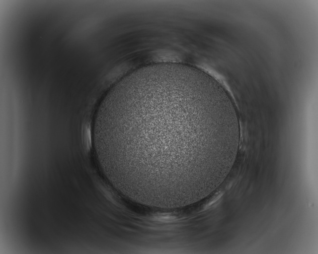 X0000088360061200705291315