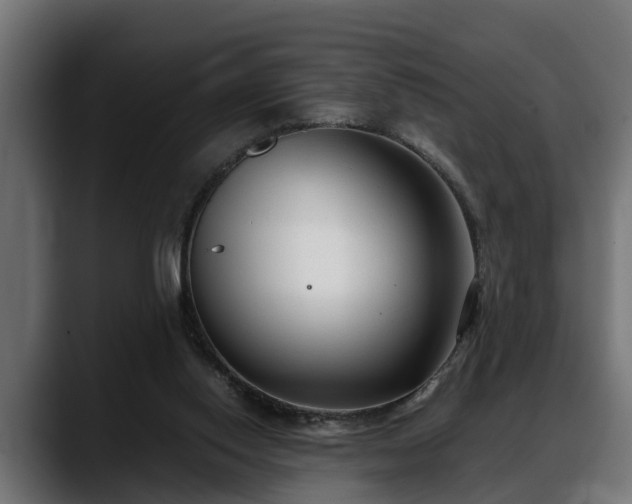 X0000088360062200705291315