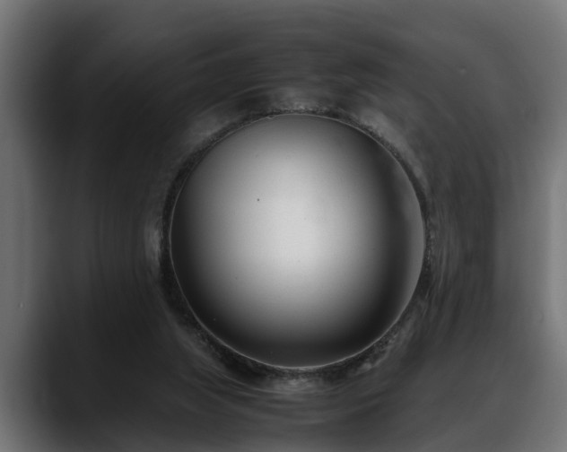 X0000088360063200705291316