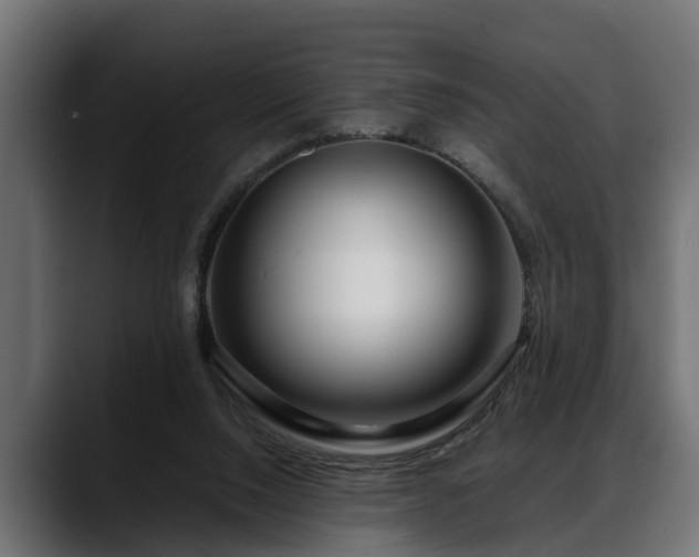 X0000088360064200705291316