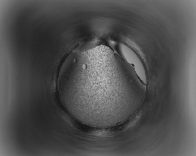 X0000088360065200705291316